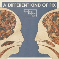 A Different Kind Of Fix - 2011 • Álbum