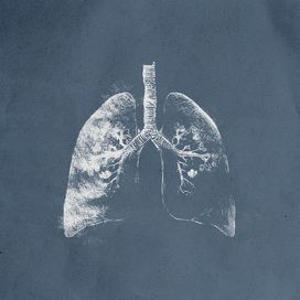 płuca - 2025 • Single/EP