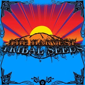 The Harvest - 2009 • Álbum
