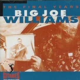 The Final Years - 1994 • Álbum