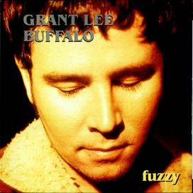 Fuzzy - 1993 • Álbum