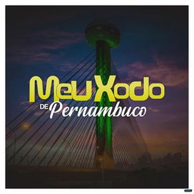 O Xodó do Brasil (Vol. 1) - 2007 • Álbum