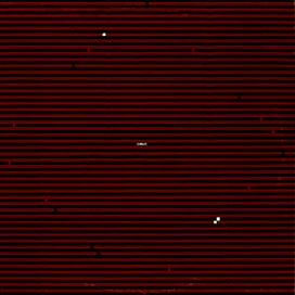 Swans - 1982 • Single/EP