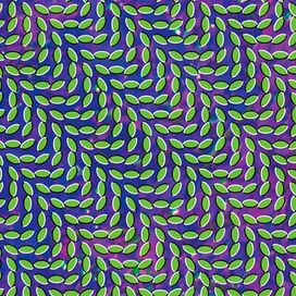 Merriweather Post Pavilion - 2009 • Álbum