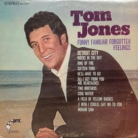 Funny Family Forgotten Feelings - 1967 • Álbum
