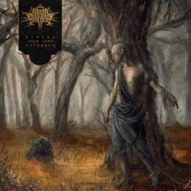 Echoes From Deep November - 2020 • Álbum