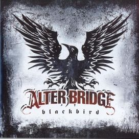 Blackbird - 2007 • Álbum