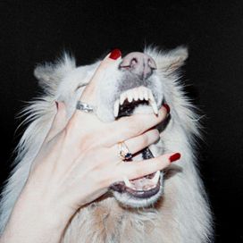 Hush - 2026 • Álbum