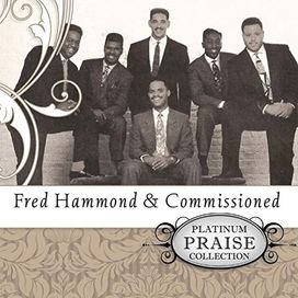 Platinum Praise Collection - 2008 • Álbum