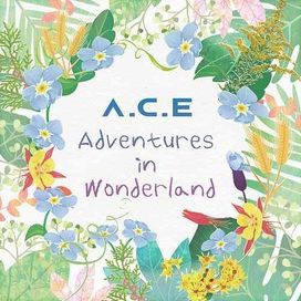 Adventures In Wonderland - 2018 • Álbum