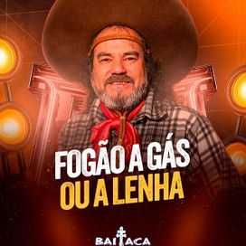 Fogão a Gás Ou a Lenha - 2025 • Single/EP