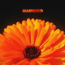 Marigold - 2022 • Álbum