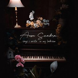 Songs I Wrote in My Bedroom - 2020 • Álbum