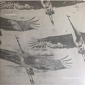 Tranorna Kommer - 2019 • Álbum