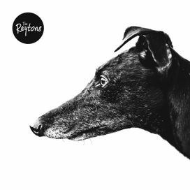 Canine - 2018 • Sencillo/EP