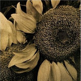 Banka (Hitori no Kisetsu) / Inochi no Namae - 2005 • Sencillo/EP