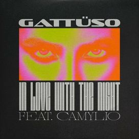 In Love With The Night (feat. Gattüso) - 2022 • Single/EP