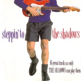 Steppin' To The Shadows - 1989 • Álbum