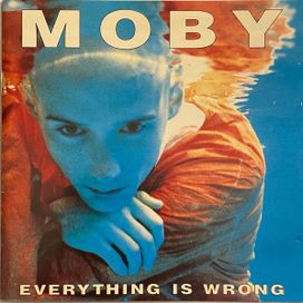 Everything Is Wrong - 1996 • Álbum