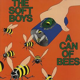 A Can Of Bees - The Soft Boys