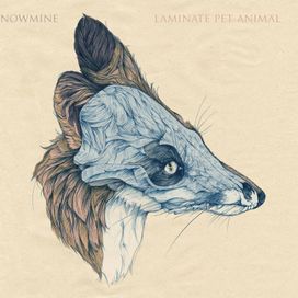 Laminate Pet Animal - 2011 • Álbum