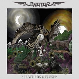Feathers &amp; Flesh - 2016 • Álbum