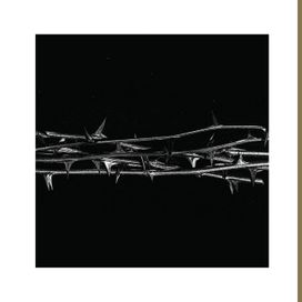 De Doorn - 2021 • Álbum