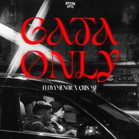 Gata Only - 2024 • Sencillo/EP
