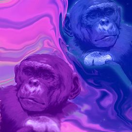stoned ape - 2022 • Single/EP