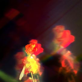 Petals on the Moon - 2023 • Single/EP