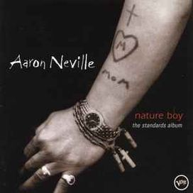 Nature Boy: The Standards Album - 2003 • Álbum