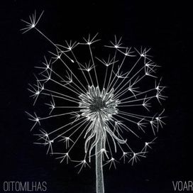 Voar - 2018 • Álbum