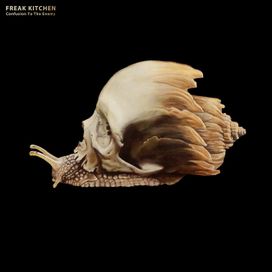 Confusion To The Enemy - 2018 • Álbum