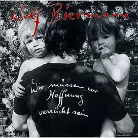 Wir Müssen Vor Hoffnung Verrückt Sein - 1982 • Álbum