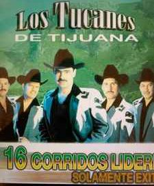 16 Corridos Lideres Solamente Exitos - 2003 • Álbum