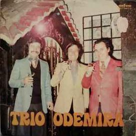 Trio Odemira (1976) - 1976 • Álbum