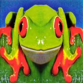 Totem - 1998 • Álbum