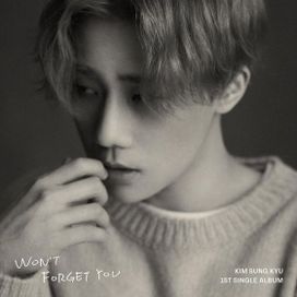Won’t Forget You - 2021 • Single/EP