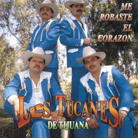 Me Robaste El Corazón - 1995 • Álbum