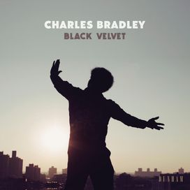 Black Velvet - 2018 • Álbum