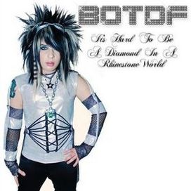 It's Hard To Be A Diamond In A Rhine Stone World  - 2008 • Álbum