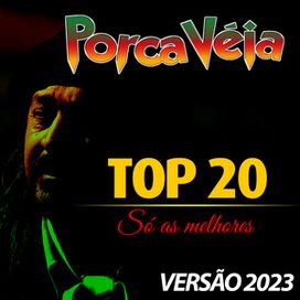 Top 20 Só As Melhores (Versão 2023) - 2014 • Álbum