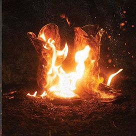 Walk Through Fire - 2025 • Álbum