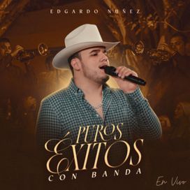 Puros Exitos Con Banda (En Vivo) - 2024 • Álbum