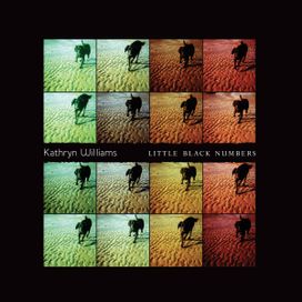 Little Black Numbers - 2000 • Álbum