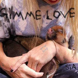 Gimme Love - 2023 • Single/EP