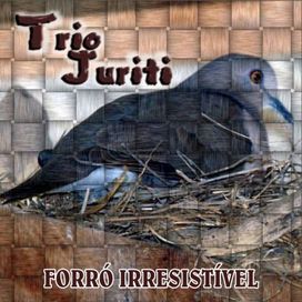 Forró Irresistível - 2007 • Álbum