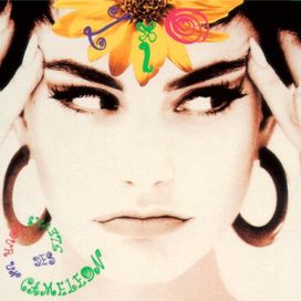 Des Fleurs Pour Un Caméléon - 1991 • Álbum