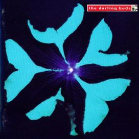 Crawdaddy - 1990 • Álbum