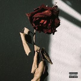 Reflexões - 2017 • Álbum